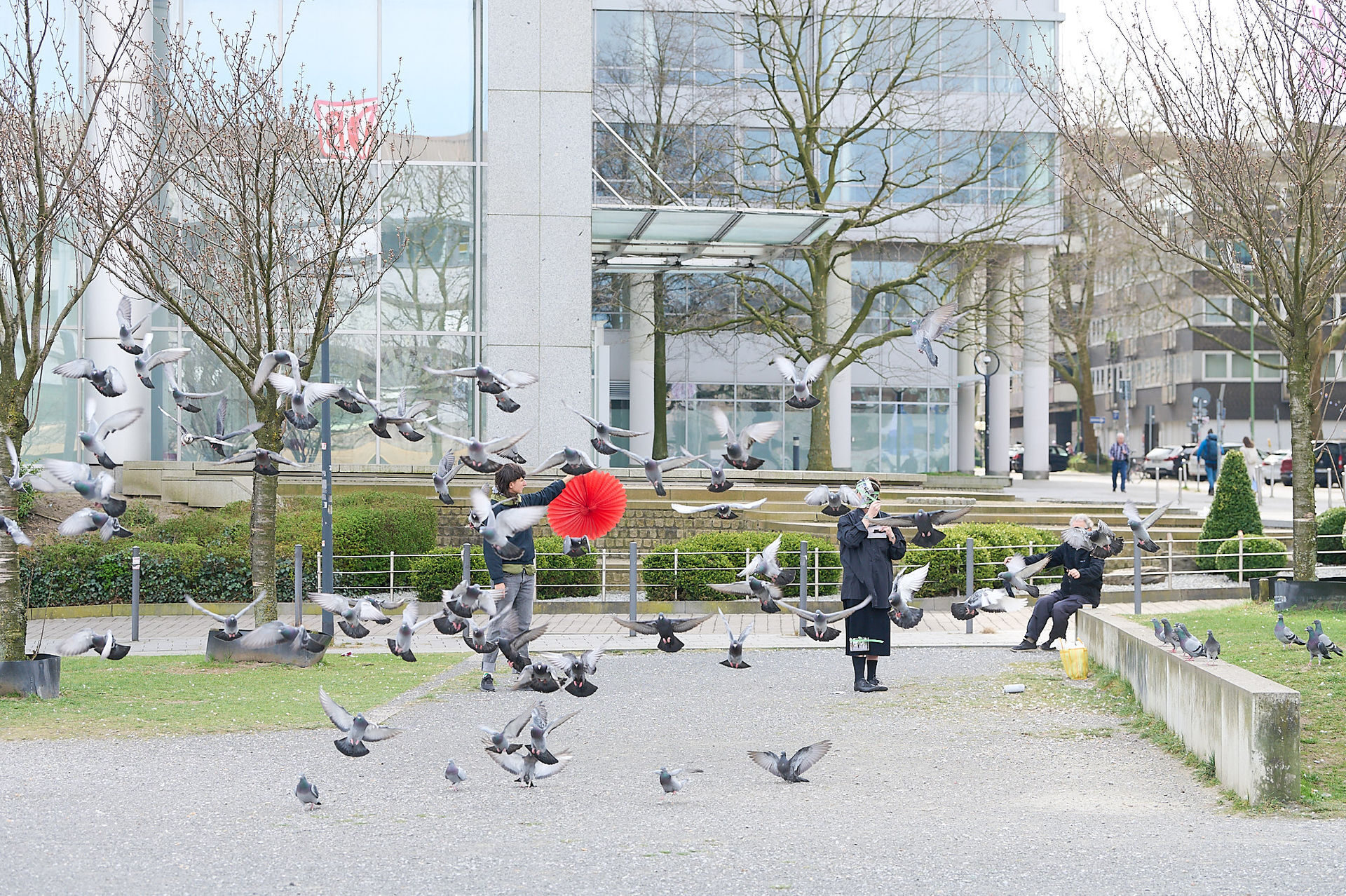 People feeding pigeons in a park with a modern building in the background; one person holds a bright red umbrella.